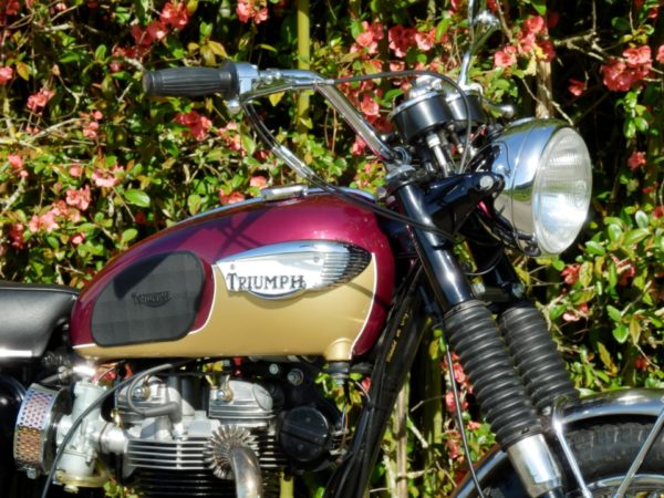 TRIUMPH T120R 1967 – Image 7
