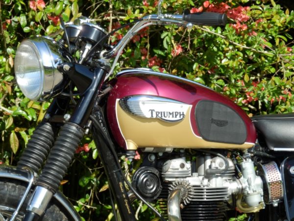 TRIUMPH T120R 1967 – Image 12