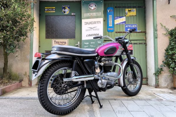 TRIUMPH 650 TR6 SS/SC TROPHY - 1963 – Image 3