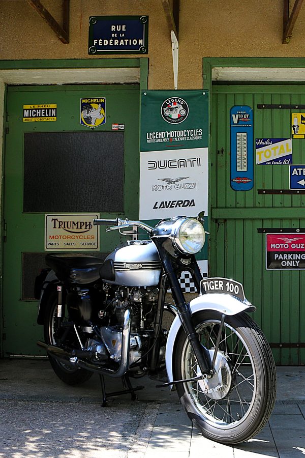 TRIUMPH 500 T100 TIGER "MOTEUR ALU" - 1954 – Image 4