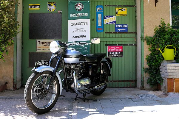 TRIUMPH 500 T100 TIGER "MOTEUR ALU" - 1954 – Image 6