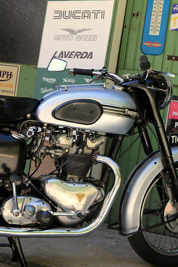 TRIUMPH 500 T100 TIGER "MOTEUR ALU" - 1954 – Image 16